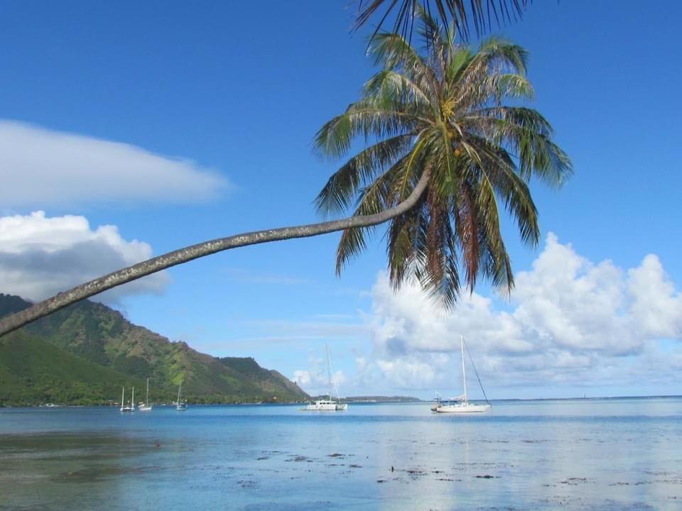 Beach De Reve De Moorea Hauru Kültér fotó