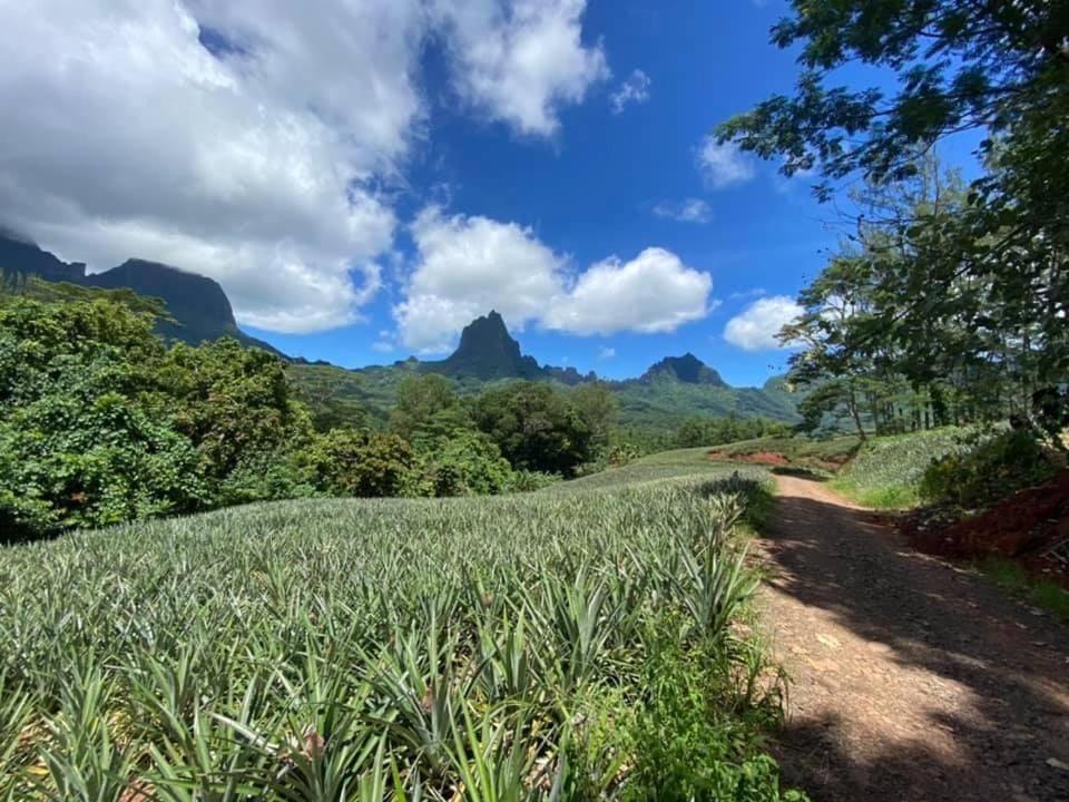 Beach De Reve De Moorea Hauru Kültér fotó
